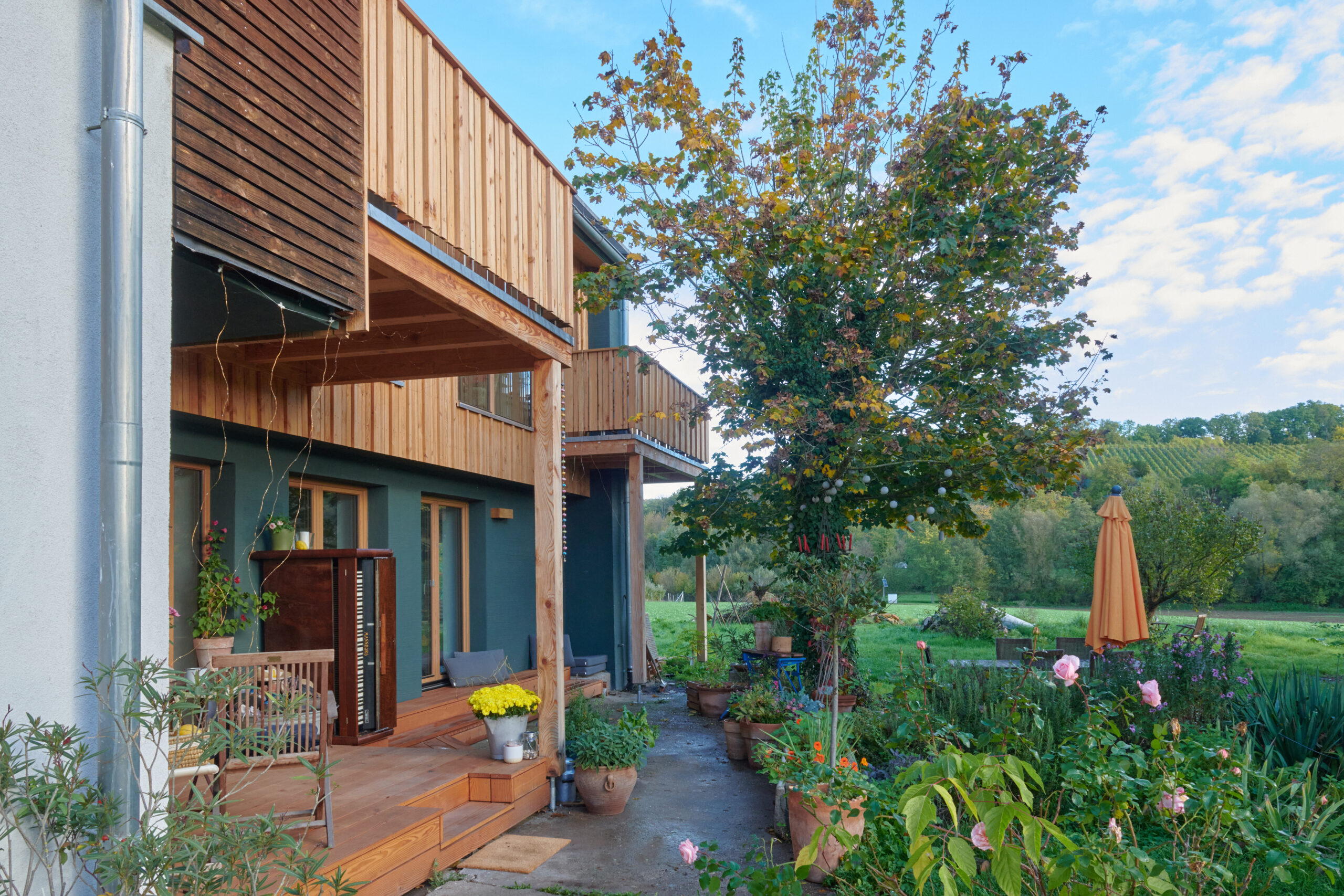 <a href="/luizhofen/">Luizhofen – Transformation </a>